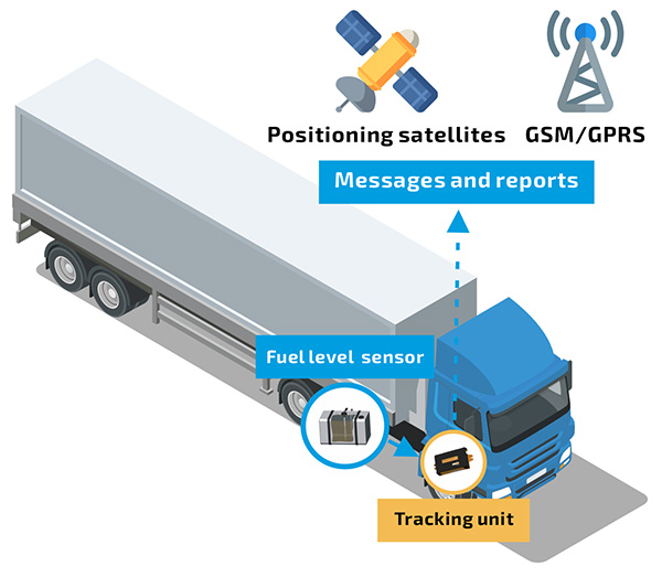 dut-e-illustration-e